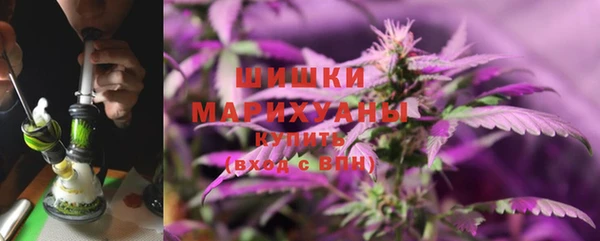 мяу мяу кристалл Корсаков