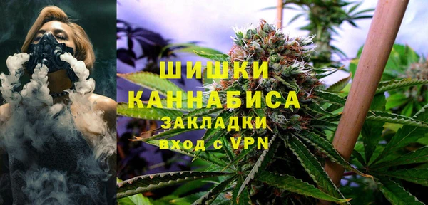 мдпв Коряжма