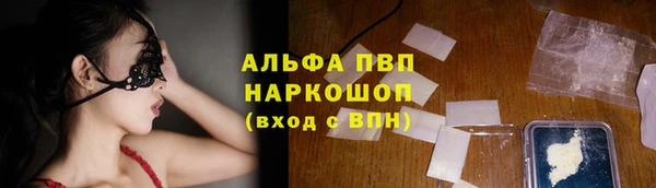 мяу мяу кристалл Корсаков