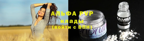 мяу мяу кристалл Корсаков